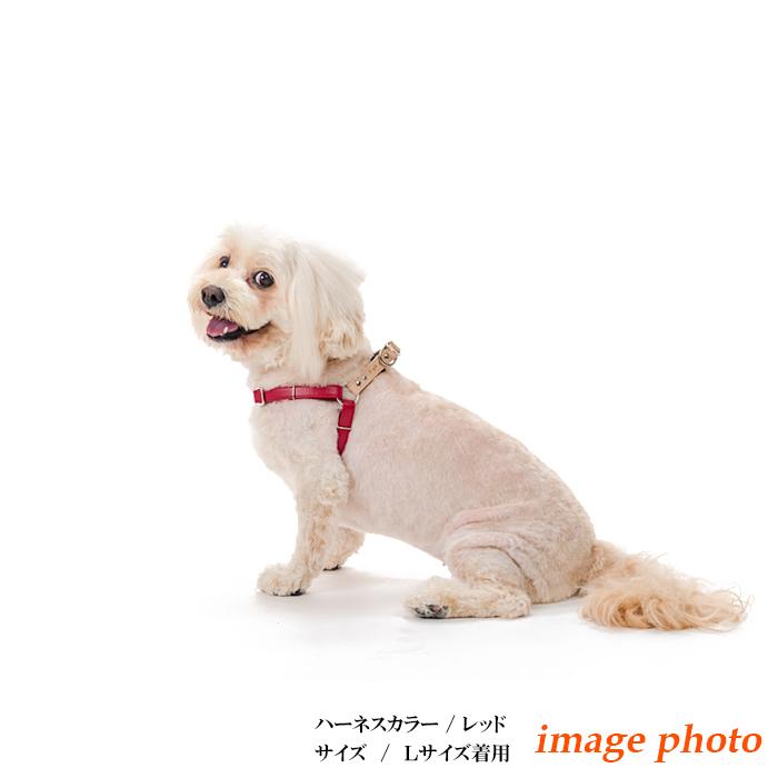 ハーネス 犬 おしゃれ 安全帯 小型犬 本ヌメ栃木レザー10mm幅ハーネス