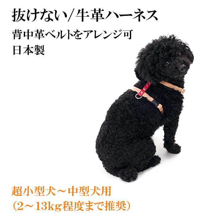 ハーネス 犬 おしゃれ 安全帯 超小型犬 小型犬 中型犬 いぬ 抜けない