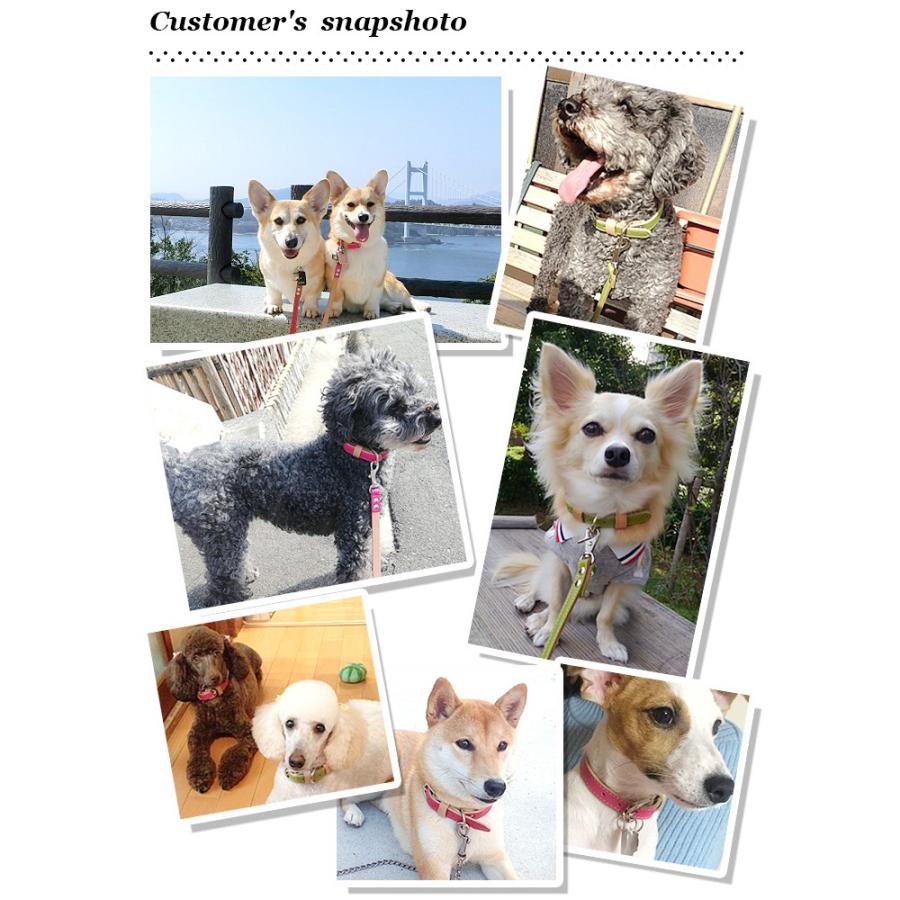 犬 首輪 おしゃれ 革 中型犬 犬首輪 犬の首輪 シンプルベーシック首輪 |  | 11