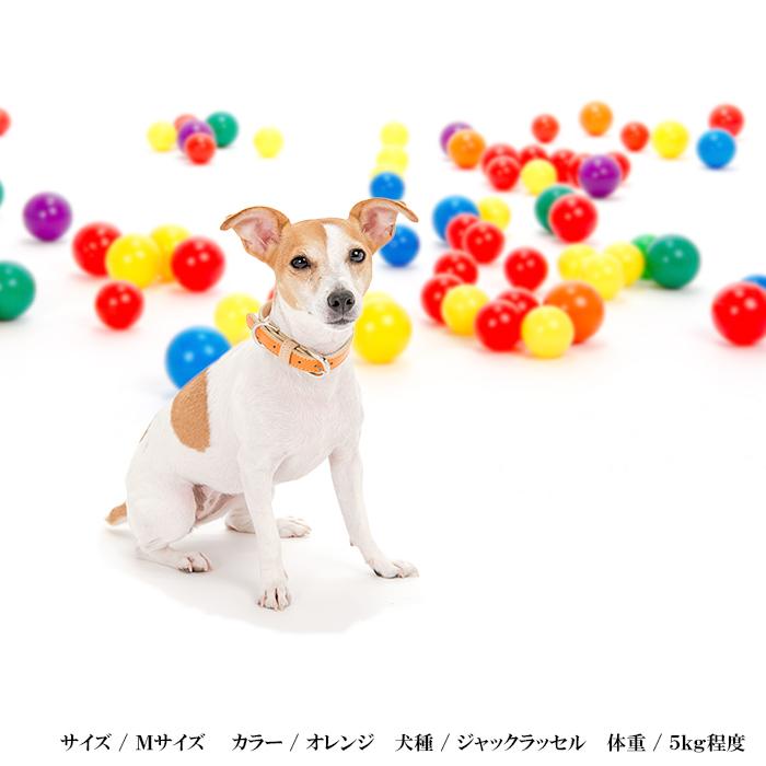 犬 首輪 おしゃれ 革 中型犬 犬首輪 犬の首輪 シンプルベーシック首輪 |  | 03