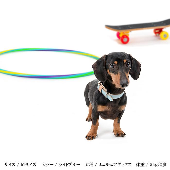 犬 首輪 おしゃれ 革 中型犬 犬首輪 犬の首輪 シンプルベーシック首輪 |  | 04