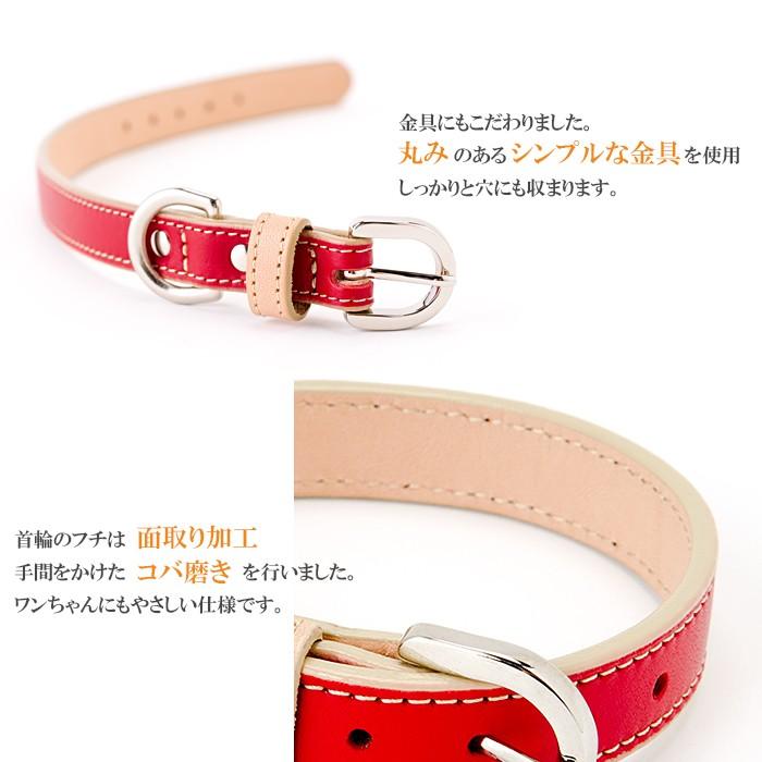 あおページ 中型犬用首輪とロングカフェリード ホワイト×サンド 犬