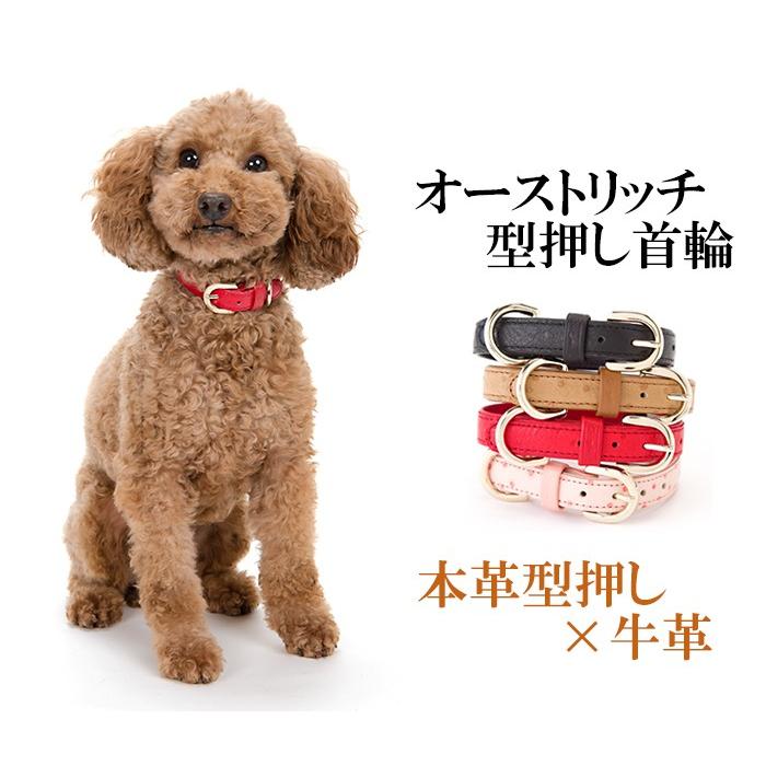 犬 首輪 おしゃれ 革 小型犬 中型犬 犬首輪 犬の首輪 オーストリッチ型押し首輪 |  | 01