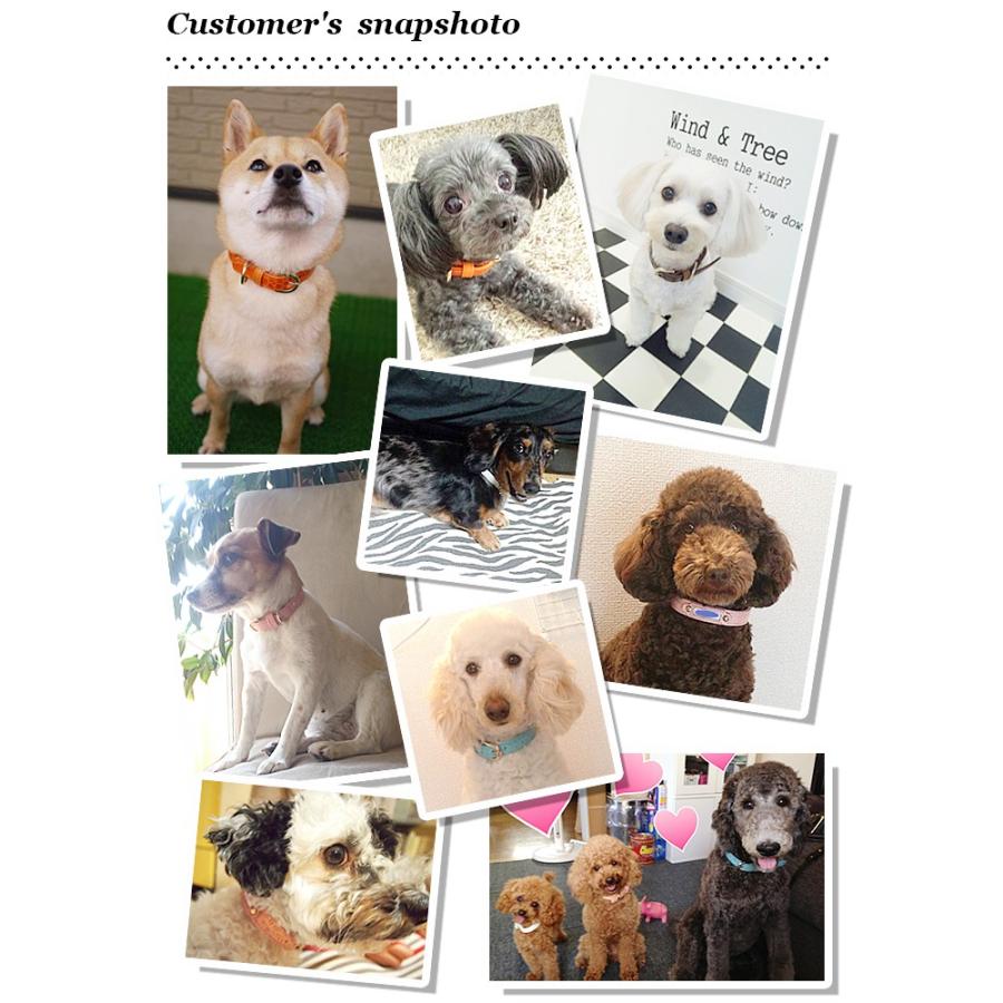 犬 首輪 おしゃれ 革 小型犬 中型犬 犬首輪 犬の首輪 クロコダイル型押し首輪 |  | 09