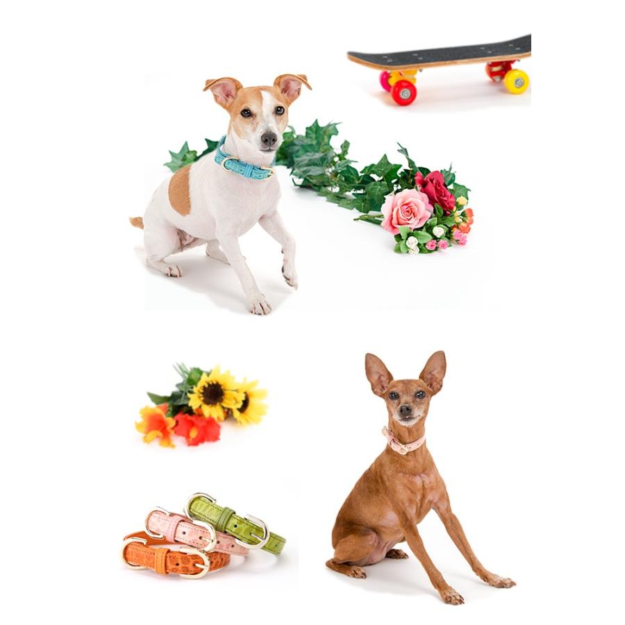 犬 首輪 おしゃれ 革 中型犬 犬首輪 犬の首輪 クロコダイル型押し首輪 |  | 02