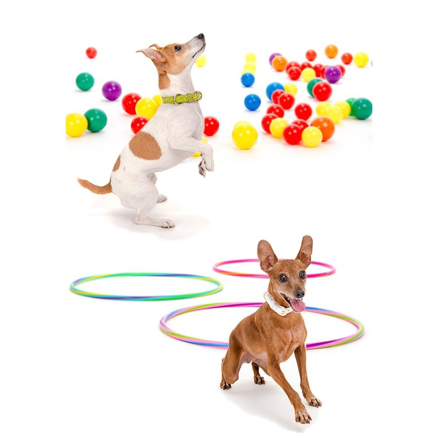 犬 首輪 おしゃれ 革 中型犬 犬首輪 犬の首輪 クロコダイル型押し首輪 |  | 03