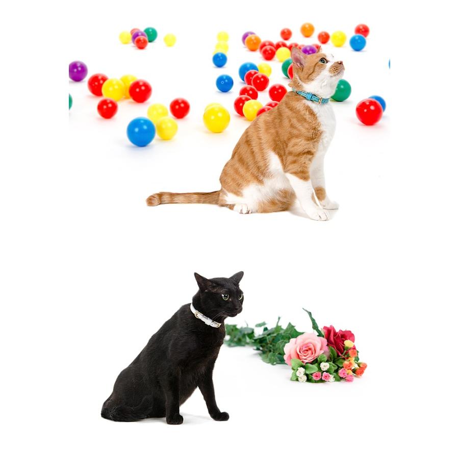 猫 首輪 おしゃれ 安全 鈴 猫首輪 猫の首輪 クロコダイル型押し10mm幅首輪 |  | 02