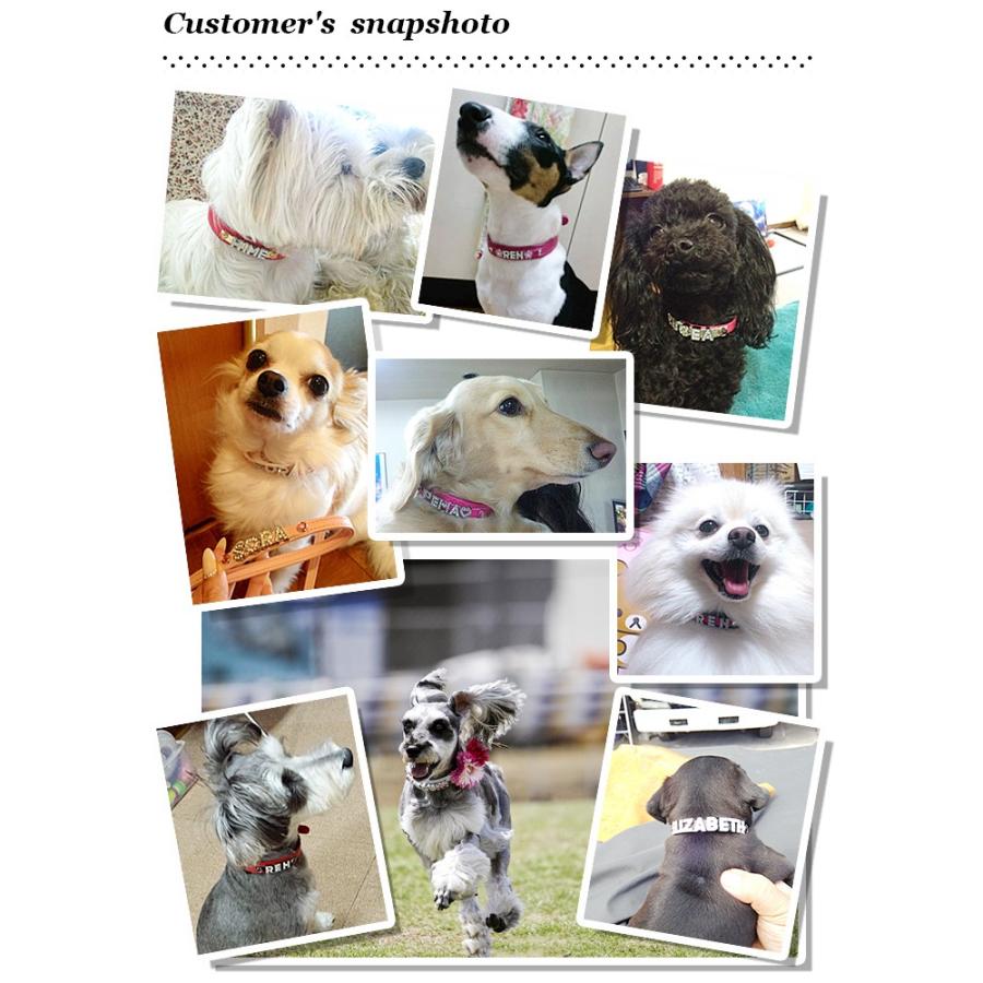 猫 首輪 名前入り おしゃれ 安全 鈴 猫首輪 猫の首輪 ラインストーン10mm幅 |  | 11