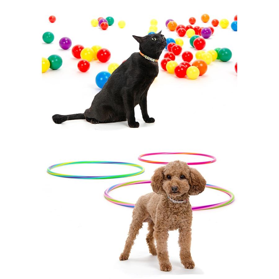 猫 首輪 名前入り おしゃれ 安全 鈴 猫首輪 猫の首輪 ラインストーン10mm幅 |  | 02