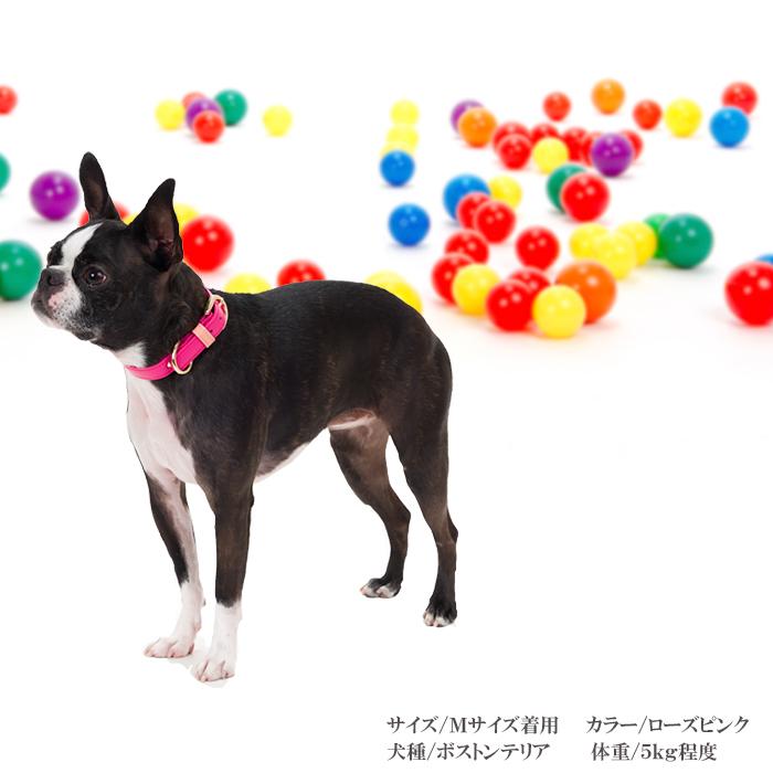 犬 首輪 おしゃれ 革 小型犬 中型犬 犬首輪 犬の首輪 シンプルレザー首輪 |  | 02