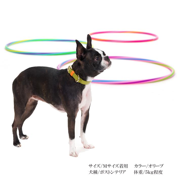 犬 首輪 おしゃれ 革 小型犬 中型犬 犬首輪 犬の首輪 シンプルレザー首輪 |  | 03