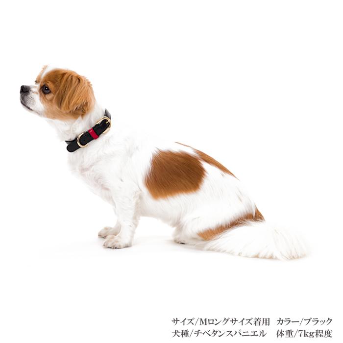 犬 首輪 おしゃれ 革 小型犬 中型犬 犬首輪 犬の首輪 シンプルレザー首輪 |  | 05