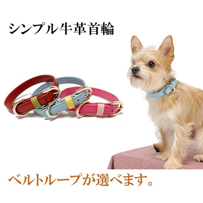 犬 首輪 おしゃれ 革 中型犬 犬首輪 犬の首輪 シンプルレザー 犬 首輪 おしゃれ 革 中型犬 犬首輪 犬の首輪 シンプルレザー