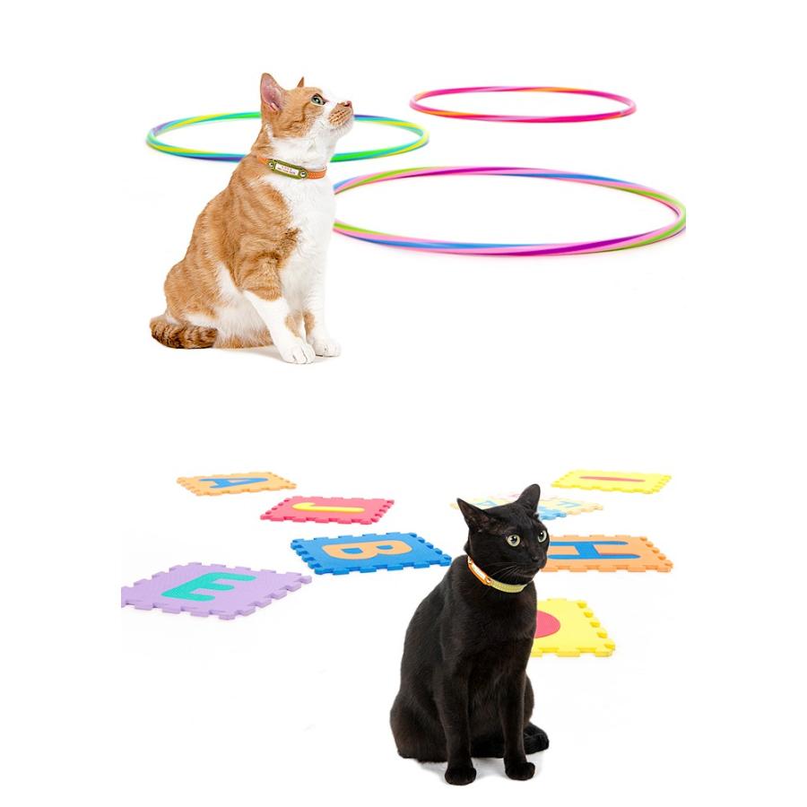 猫 首輪 おしゃれ 安全 鈴 猫首輪 猫の首輪 迷子札きホワイトベーシック10mm幅首輪 |  | 02