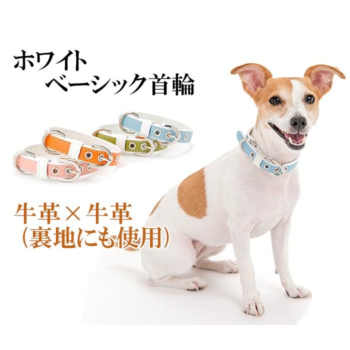 犬 首輪 おしゃれ 革 小型犬 中型犬 犬首輪 犬の首輪 ホワイトベーシック首輪 |  | 01
