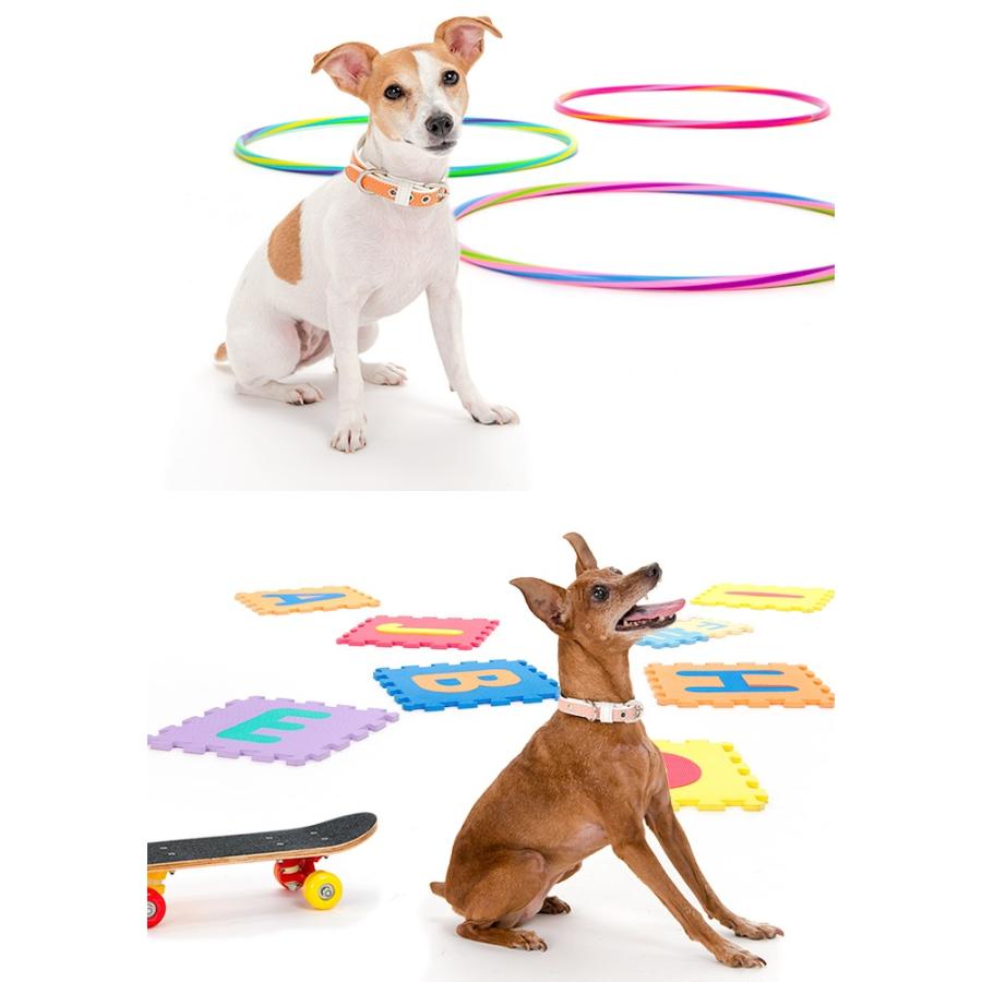 犬 首輪 おしゃれ 革 小型犬 中型犬 犬首輪 犬の首輪 ホワイトベーシック首輪 |  | 02