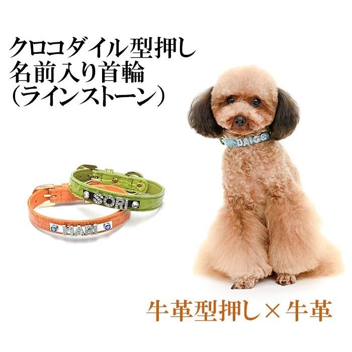 売り切れ必至 犬 首輪 名前入り おしゃれ 革 小型犬 中型犬 犬首輪 犬の首輪 クロコダイル型押し首輪ラインストーン Nhaankhang Com