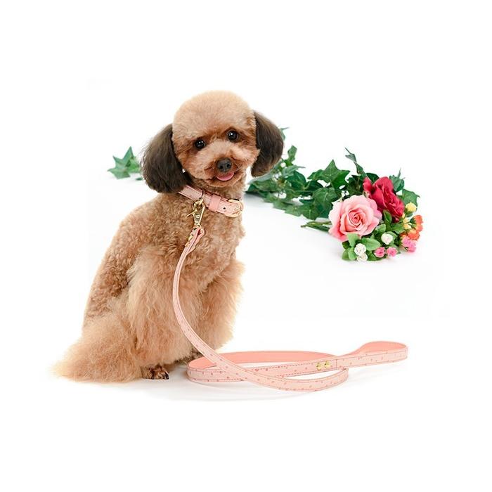 犬 リード おしゃれ 革 小型犬 中型犬 レザー オーストリッチ型押し15mm幅カフェタイプリード |  | 01