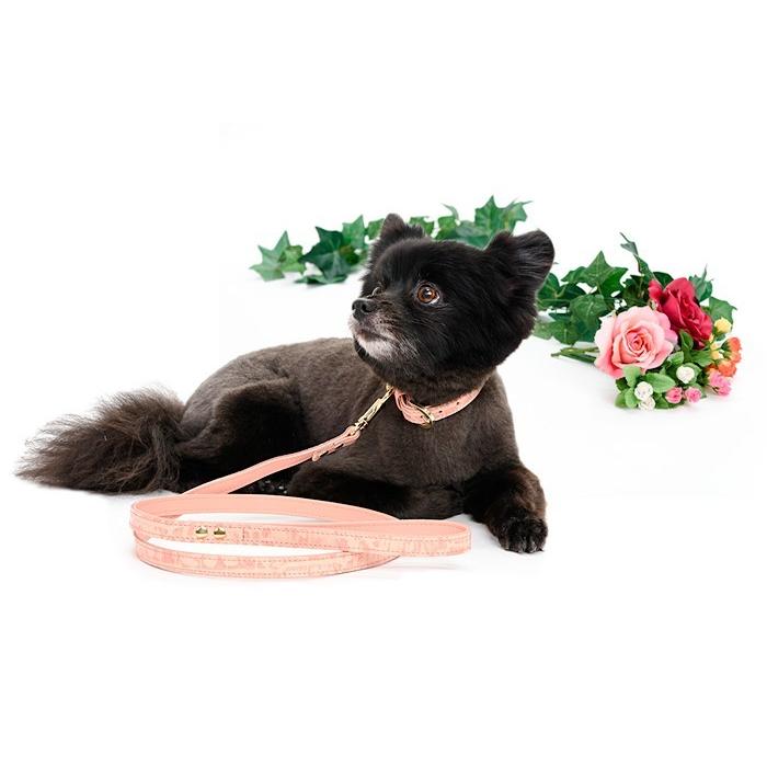 犬 リード おしゃれ 革 小型犬 中型犬 レザー クロコダイル型押し15mm幅カフェタイプリード |  | 01