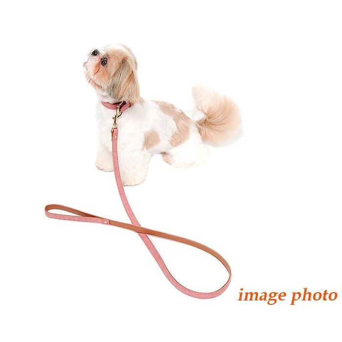 犬 リード おしゃれ 革 ジーンズ 小型犬 中型犬 デニム15mm幅リード |  | 03