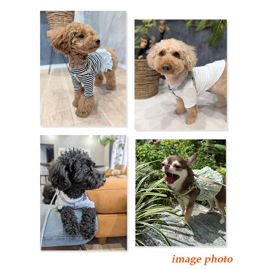 ハーネス 犬 小型犬 中型犬 安全帯  かわいい 抜けない 迷子札 フェイクレザー おしゃれ いぬ 名入れ ソフトハーネス |  | 06