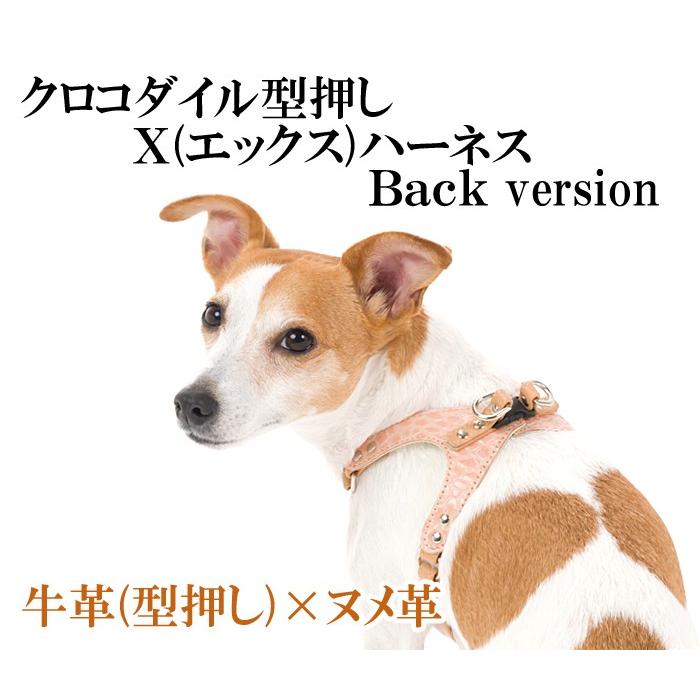 ハーネス 犬 おしゃれ 安全帯 小型犬 中型犬 XエックスBack