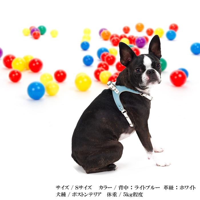 セミオーダーハリスツィード使用小型犬用服