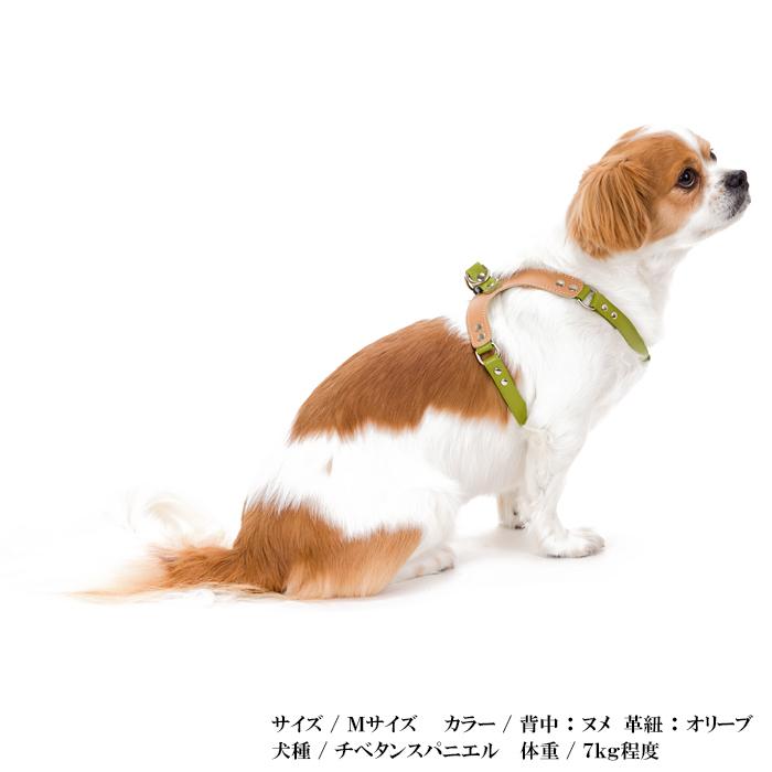 消費税無し ハーネス 犬 おしゃれ 安全帯 小型犬 中型犬 セミオーダー式X エックス ハーネス15mm幅Mサイズ whitesforracialequity.org 消費税無し ハーネス 犬 おしゃれ 安全帯 小型犬 中型犬 セミオーダー式X エックス ハーネス15mm幅Mサイズ whitesforracialequity.org