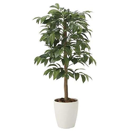 直営 店 通販 光触媒 人工観葉植物 光の楽園 アルデシア 万両 90 32a140 S 2211 クリスタルロッド ヤフー店 通販 Yahoo ショッピング 正規品 純正 Clinicaaldente Es