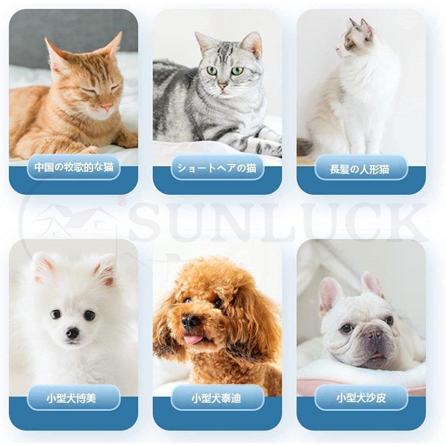 ペット乾燥箱 乾燥ハウス ドライルーム 全自動 ドライヤーを嫌がるうちの子のために 静かに乾かせる 犬 猫 完全密閉