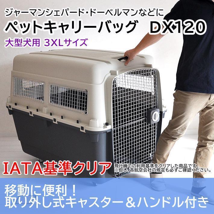 ペットキャリー DX120 3XL 大型犬 超大型犬 キャリー キャリーケース クレート ハードキャリー ※別途送料必要※返品キャンセル不可 ペットキャリー DX120 3XL 大型犬 超大型犬 キャリー キャリーケース クレート ハードキャリー 別途送料必要 返品キャンセル不可