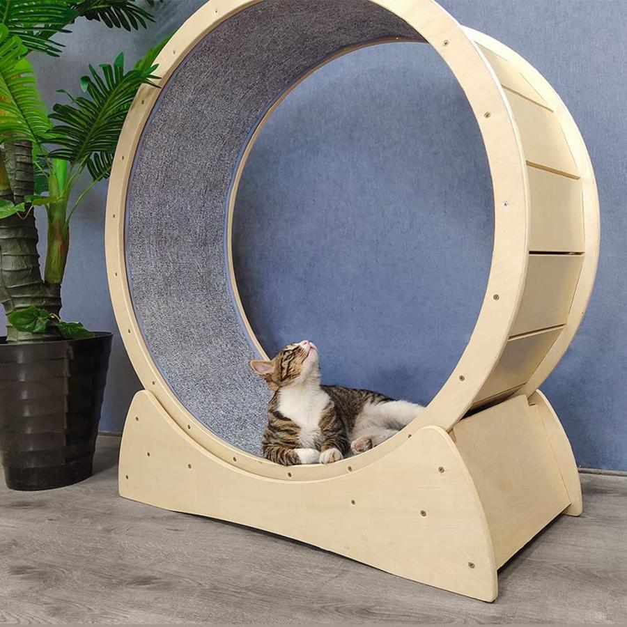 キャットホイール 猫 ランニングホイール 低騒音 大型 無垢材 猫ランニングマシン 猫 回し車 キャットエクササイズホイール 猫研削爪 おもちゃ 多機能 キャット キャットホイール ランニングホイール 低騒音 大型 無垢材 猫ランニングマシン 回し車 キャットエクササイズホイール 猫研削爪 おもちゃ 多機能 キャット