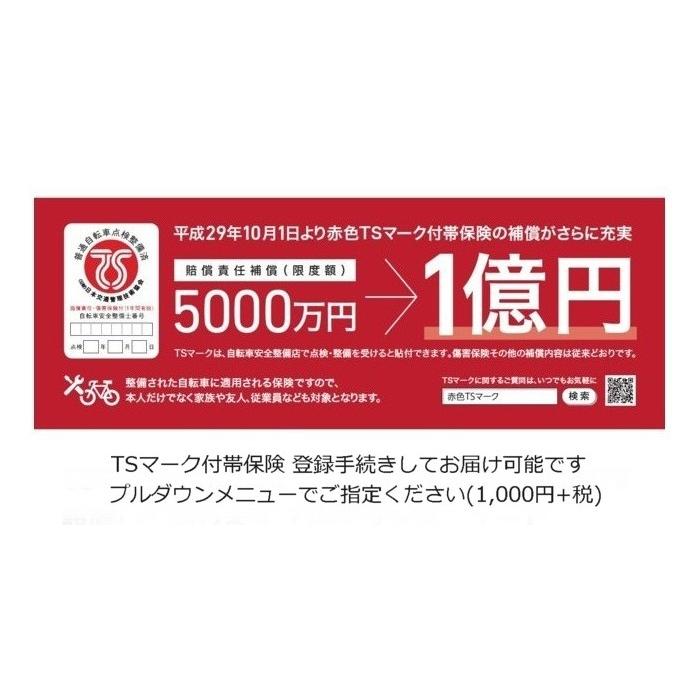 丸石サイクル 【営業所引き取り、事業所お届けで送料割引あります