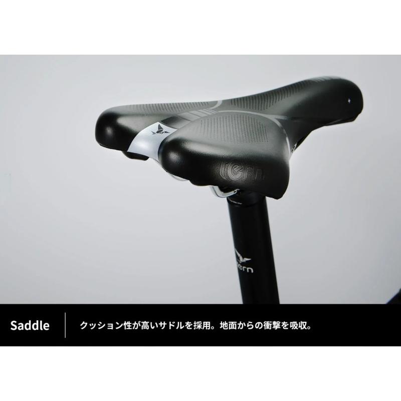 DAHON（ダホン） tern(ターン) Verge P10 2025モデル : サイクル 