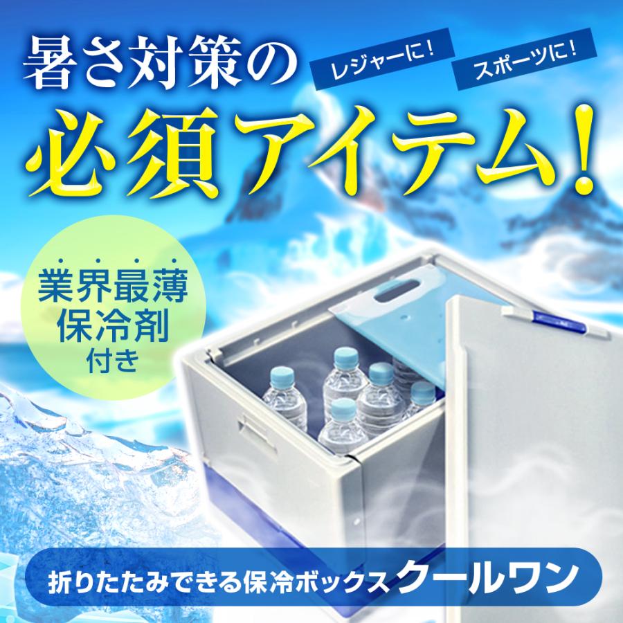 保冷折りたたみコンテナ 薄型保冷剤2枚付き ワコン 業務用 折りたたみ