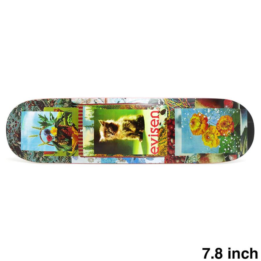 スケートボード コンプリート エビセン サンダー ドラゴンフォーミュラ