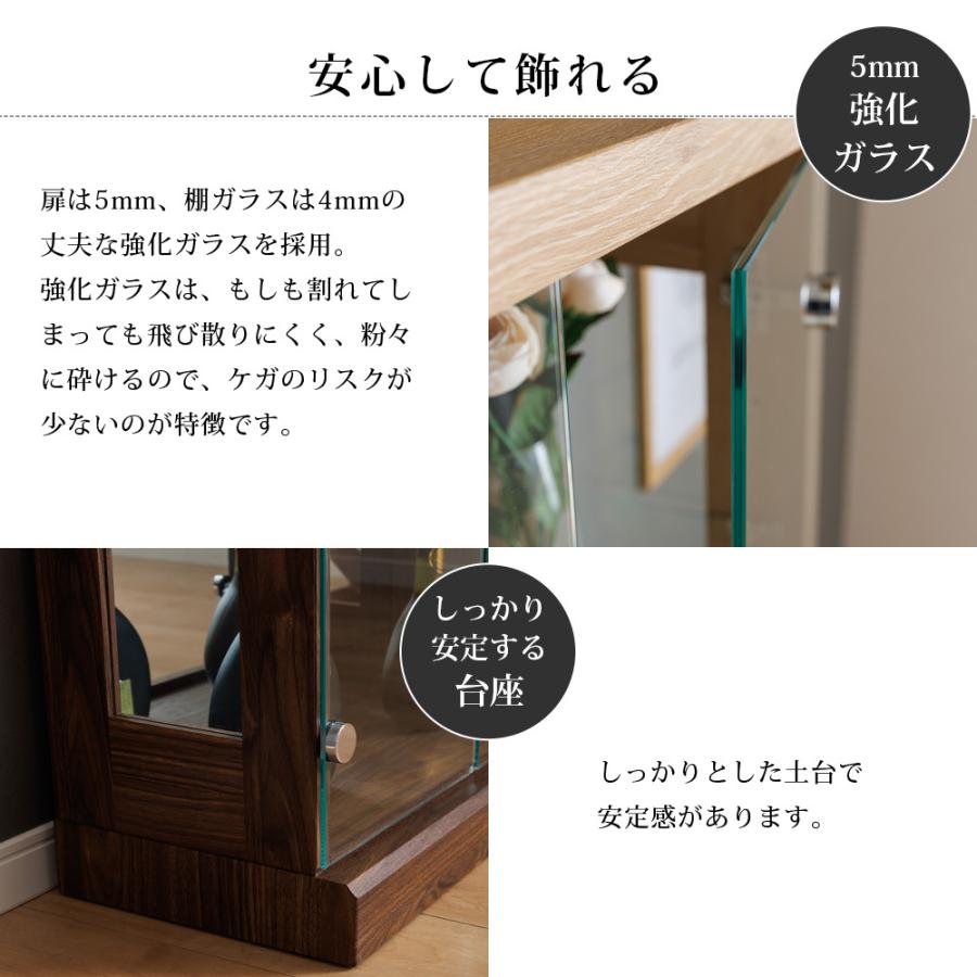 With Plan コレクションケース 大型 70 コレクションボード