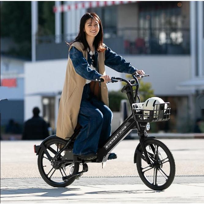 EVEREST XING CITY エベレスト エキシングシティ 2輪タイプ 特定小型