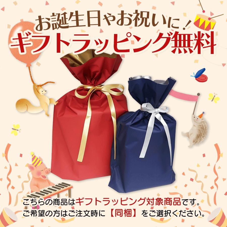 【ギフト 特典あり】名曲いっぱい グランドピアノ りょうてでひけるよ ラッピング 50曲をピアノ演奏できる 折り畳み式 音の出る絵本 電子ピアノ 3〜7歳の画像