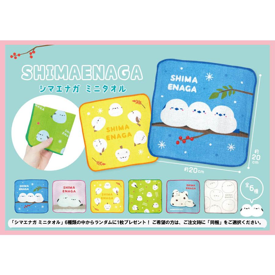 コスミック出版 【ギフト 特典あり】ようちえんのせんせいが