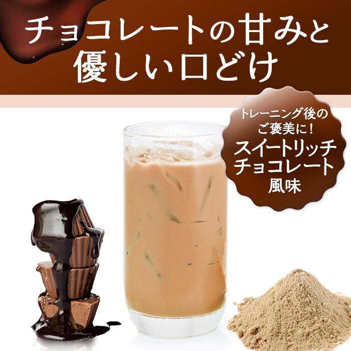 高吸収タンパク質26g 国産 ホエイプロテイン ハルクファクター 2 1kg 1 05kg X2袋 チョコ風味 パウダー Eaa mg aa mg ビタミン配合 安い 女性 シーエスシーpaypayモール店 通販 Paypayモール