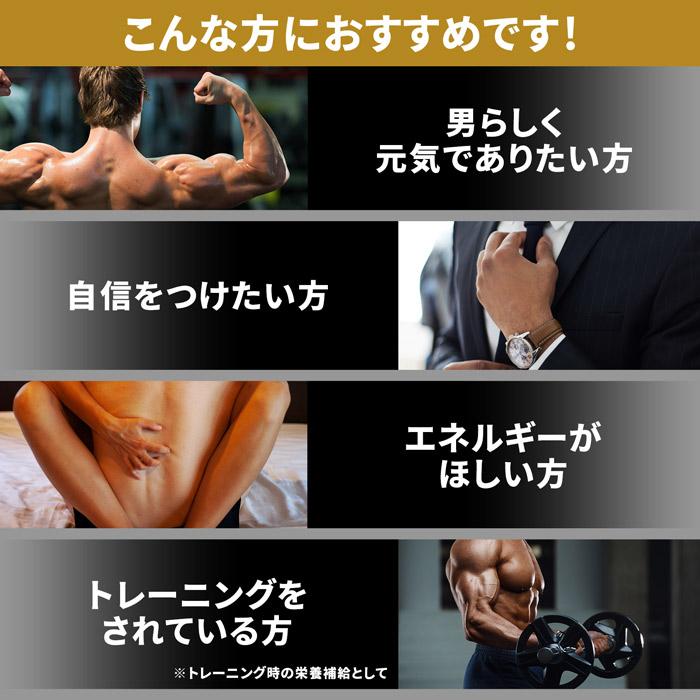 ハルクファクター 公式 シトルリン アルギニン 240粒 + ホエイ ハルクファクター 公式 シトルリン アルギニン 240粒 + ホエイ