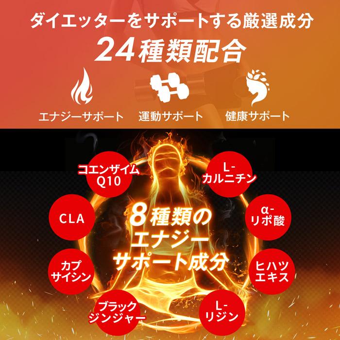 ハルクファクター L-カルニチン サプリ 18000mg 燃焼系 ダイエット 90粒 マルチビタミン 厳選24成分 HMB BCAA｜cscjp｜05