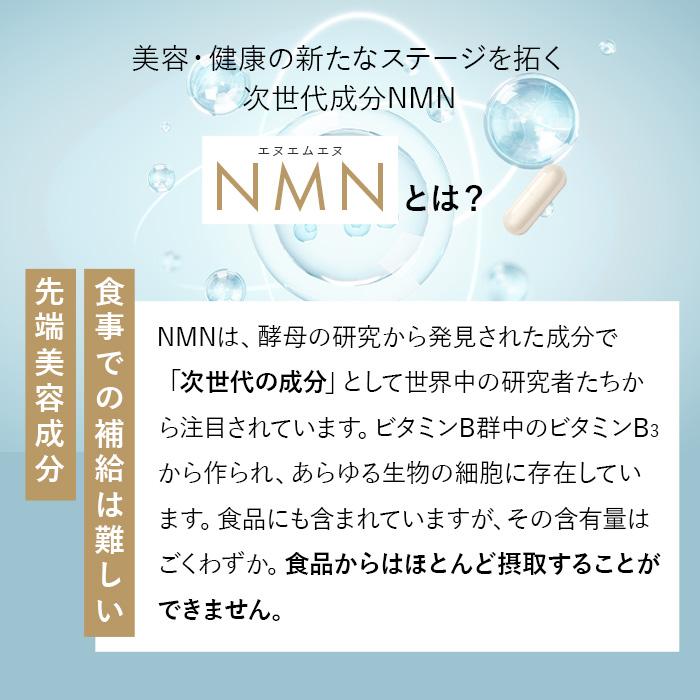 公式 ハルクファクター NMN サプリ 日本製 9300mg 高純度100％ 62粒 栄養機能食品 マルチビタミン12種 国産 二酸化チタン不使用｜cscjp｜04