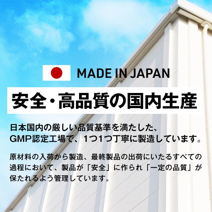全部入り ハルクファクター オールインワン 配合 EAA 大容量 630g 必須アミノ酸 9種 グルタミン クレアチン HMB BCAA ベータアラニン アスパルテーム不使用 | ハルクファクター | 14