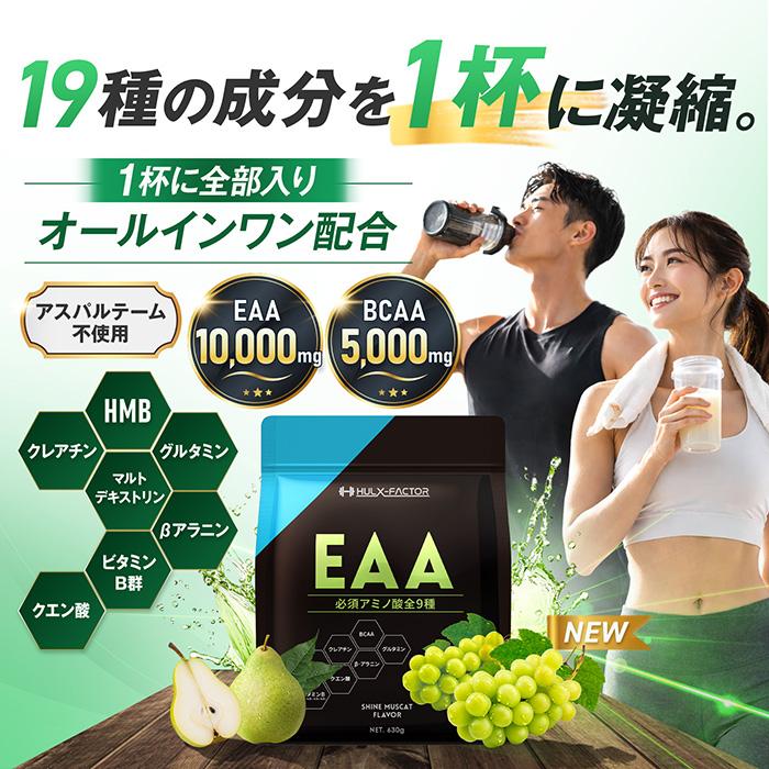ハルクファクター 全部入り オールインワン 配合 EAA 大容量 630g 必須