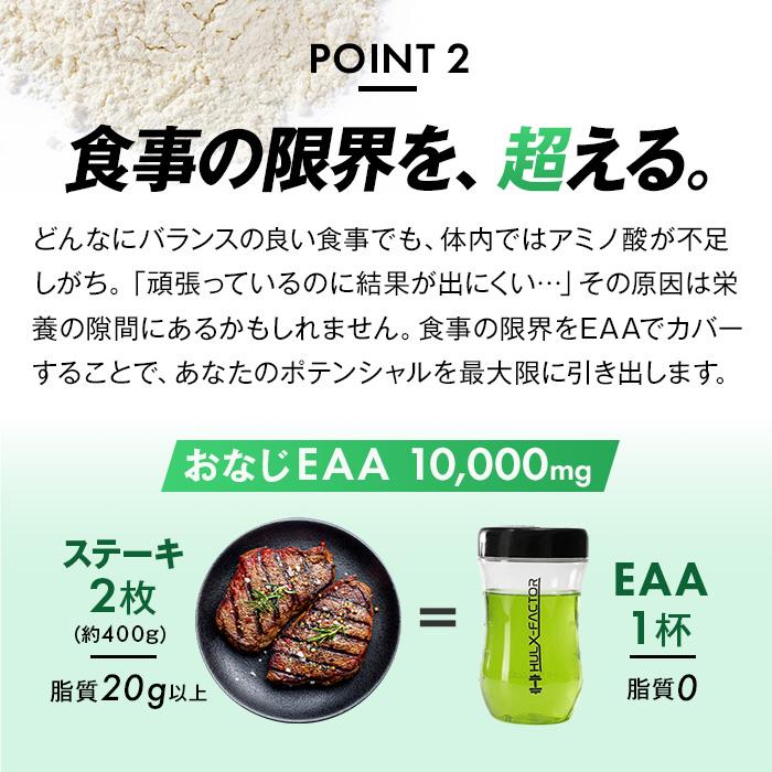 全部入り ハルクファクター オールインワン 配合 EAA 大容量 630g 必須アミノ酸 9種 グルタミン クレアチン HMB BCAA ベータアラニン アスパルテーム不使用 | ハルクファクター | 08