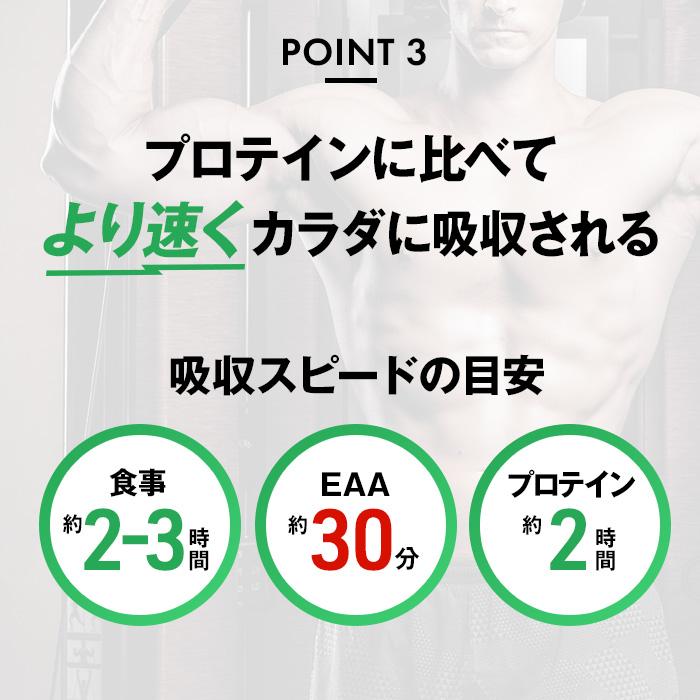 全部入り ハルクファクター オールインワン 配合 EAA 大容量 630g 必須アミノ酸 9種 グルタミン クレアチン HMB BCAA ベータアラニン アスパルテーム不使用 | ハルクファクター | 09