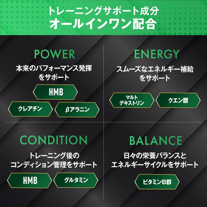 全部入り ハルクファクター オールインワン 配合 EAA 大容量 630g 必須アミノ酸 9種 グルタミン クレアチン HMB BCAA ベータアラニン アスパルテーム不使用 | ハルクファクター | 11