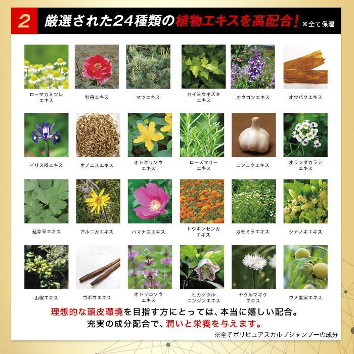 ポリピュアEX スカルプシャンプー付セット【薬用育毛剤、薬用シャンプー】 ポリピュア 公式 ポリピュアEX シャンプー サプリセット (薬用